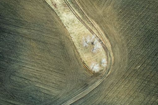 campo arado en primavera y círculos de rastros de maquinaria photo