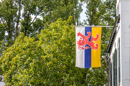 Flag of Dutch Limburg fluttering against lush green foliage, colors white, blue and yellow with a red double-tailed lion symbol, the smaller blue center row symbolizes the Maas River. Space for text