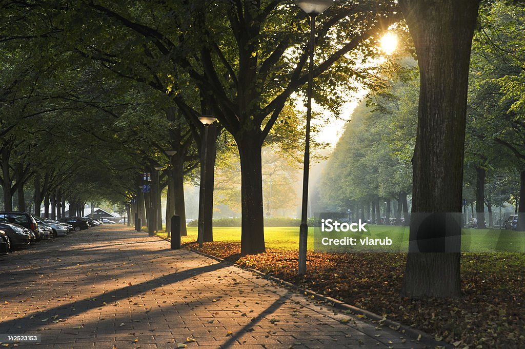 Bellissimo autunno giornata - Foto stock royalty-free di Albero