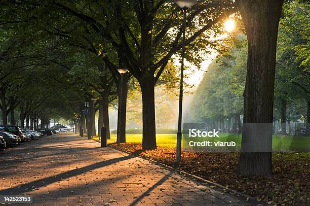 Bellissimo Autunno Giornata - Fotografie stock e altre immagini di Albero - Albero, Ambientazione esterna, Arancione