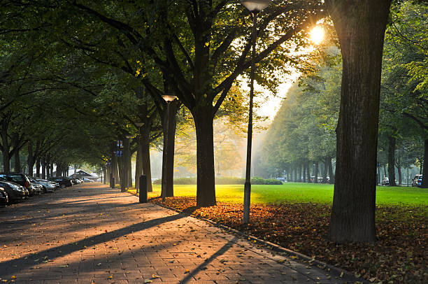 istock beautiful autumn day 142523153