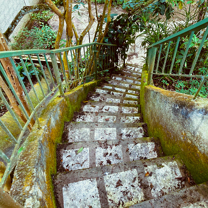 Concrete stairs seen from top to bottom with remains of leaves and dirt due to lack of maintenance.