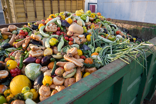 Biorresiduos orgánicos caducados. Mezcle verduras y frutas en un recipiente enorme, en un contenedor de basura. Montón de compost de verduras o alimentos para animales. photo