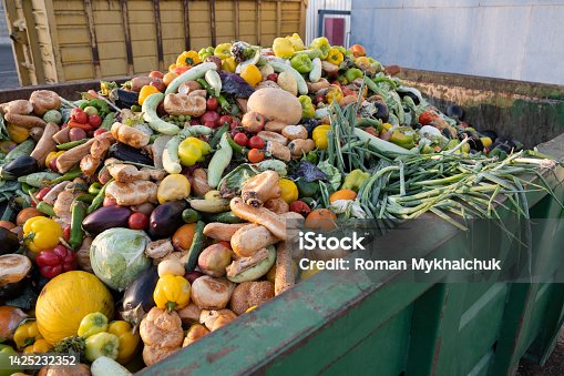 istock Expired Organic bio waste. Mix Vegetables and fruits in a huge container, in a rubbish bin. Heap of Compost from vegetables or food for animals. 1425232352