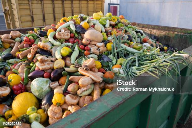 Expired Organic Bio Waste Mix Vegetables And Fruits In A Huge Container In A Rubbish Bin Heap Of Compost From Vegetables Or Food For Animals Stok Fotoğraflar & Çöp‘nin Daha Fazla Resimleri