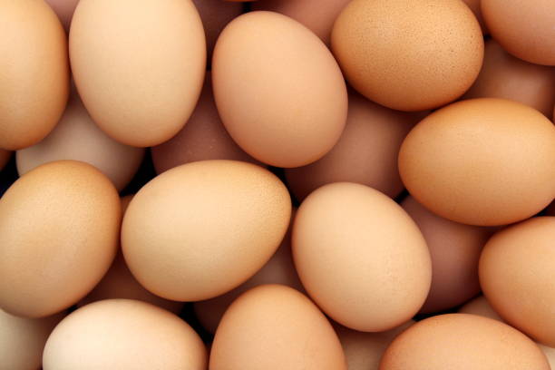 istock Texture from a large number of chicken eggs close-up. 1425233437