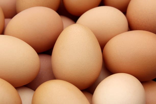 istock Texture from a large number of chicken eggs close-up. 1425233549