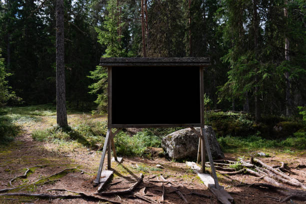 istock Blackboard in a Scandinavian pine forest in summer 1425239205