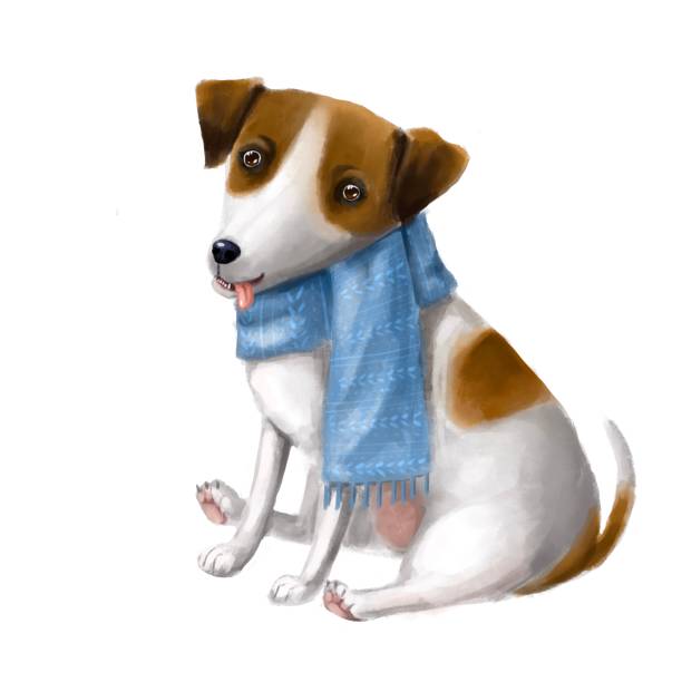istock cute dog in warm scarf with stupid face, 1425239565