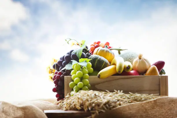 Photo of Autumn farm bountiful fruit and grain background and thanksgiving decoration