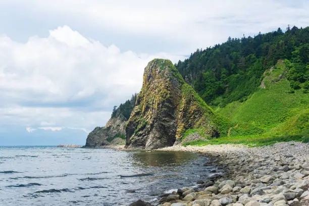 coastal landscape, beautiful lava rocks on the green coast of Kunashir island