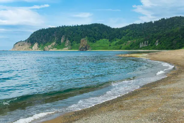 coastal landscape, pebble beach and beautiful wooded rocks on the green coast of Kunashir island