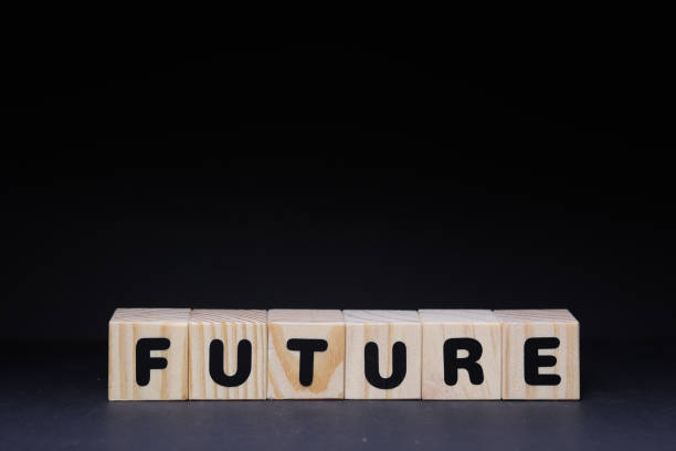 istock Future word on wooden cubes on black background 1425248611