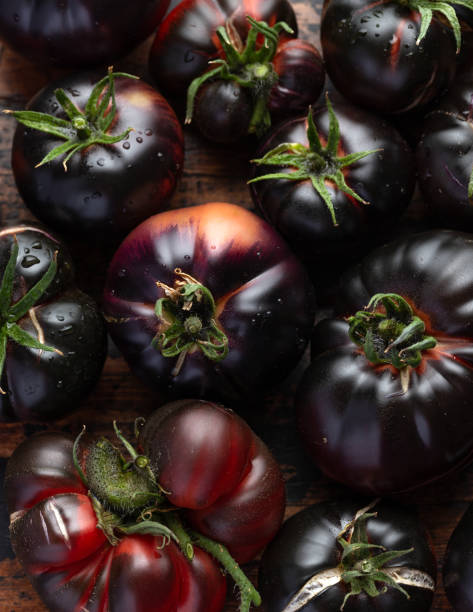 istock Black beauty tomatoes organically grown freshly picked harvest 1425248943
