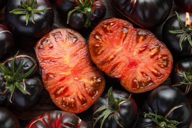 Black beauty tomatoes organically grown freshly picked harvest
