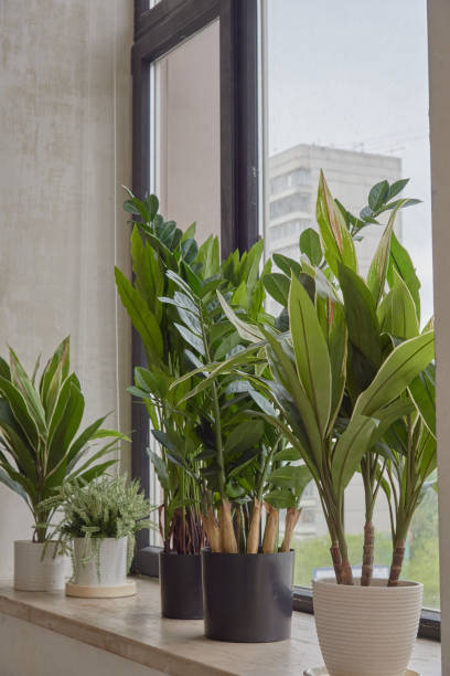 Artificial flowers in pots on the windowsill. Artificial flowers in pots on the windowsill in the interior. flower arrangement bouquet variation flower stock pictures, royalty-free photos & images