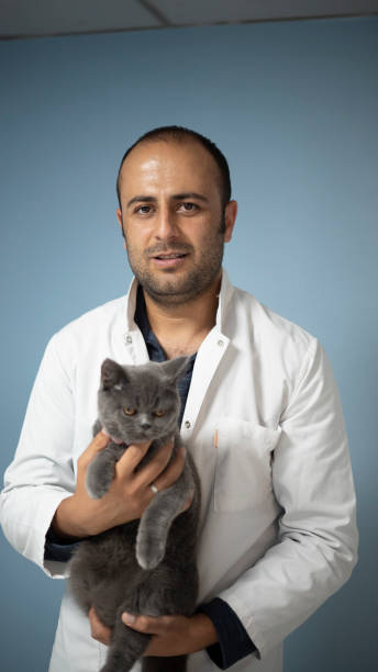 istock veterinarian man portrait 1425257710