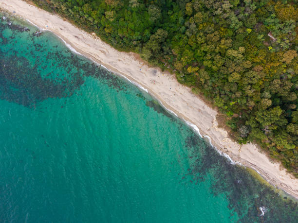 istock Flying above the beautiful wild beach in Bulgaria 1425257725