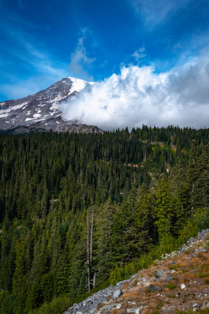 istock Dramatic cloudscape over Mount Rainier over the green spruce forest in Mt Rainier National Park, Washington State.  A huge active volcano and hiking destination. 1425259810