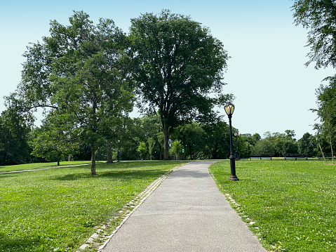 Footpath in Central park