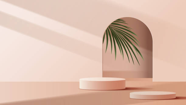 istock Brown podium display minimal background product display scene of abstract light and leaf for cosmetic, branding and packaging presentation. studio stage with shadow of leaf background. vector design 1425264891