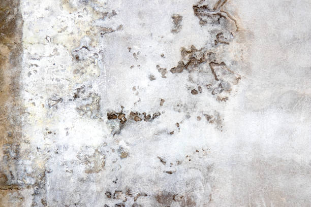 istock Texture of old white concrete wall for background 1425265693