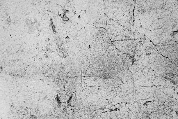 istock Vintage wall background . Background from high detailed fragment stone wall. Concrete texture for background in black, grey and white colors 1425266578