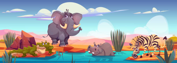 ilustrações, clipart, desenhos animados e ícones de elefante, zebra, crocodilo, hipopótamo na margem do rio - nature reserve