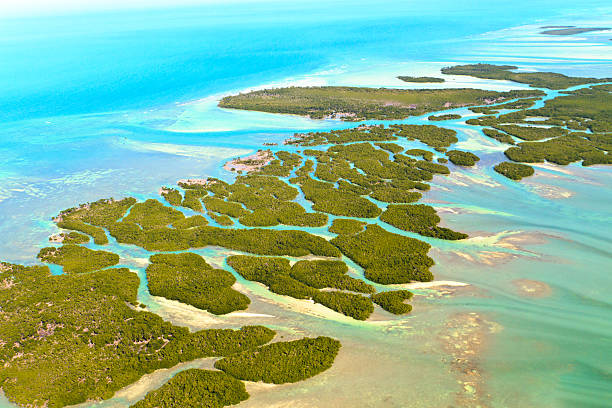 Aerial view of Florida keys and ocean  Florida Keys Aerial View (shot from aeroplane) archipelago stock pictures, royalty-free photos & images