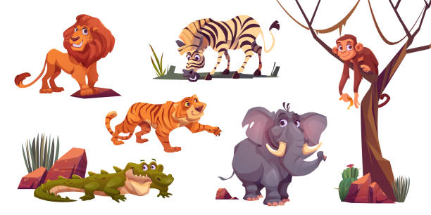 illustrations, cliparts, dessins animés et icônes de dessin animé animaux sauvages dans un zoo ou un parc safari - carnivore