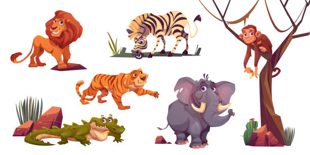 ilustrações, clipart, desenhos animados e ícones de animais selvagens de desenho animado em parque de zoológico ou safári - carnivore