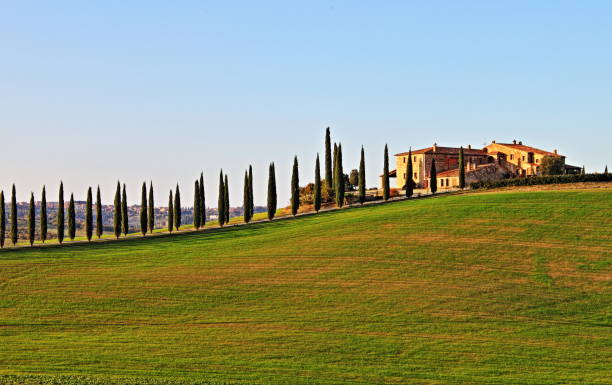 paisaje de toscana - italy summer florence italy tuscany fotografías e imágenes de stock