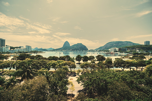 A wide-angle panoramic image of a Botafogo district of Rio de Janeiro, Brazil with a bay with boats and a touristic mountain Sugar Loaf (Pão de Açúcar) in the background and palms in the foreground