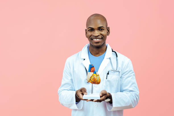 istock Doctor smiling holding heart model wearing lab coat 1425278401