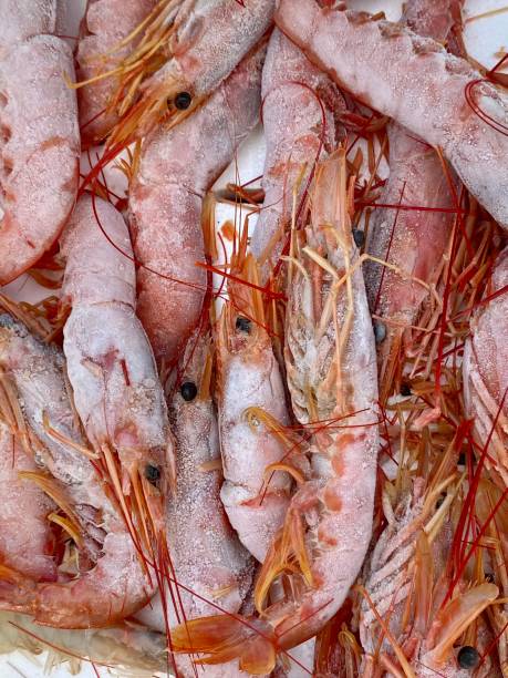 istock Sea food market 1425279908