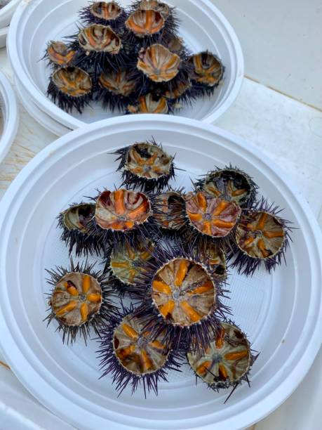 istock Sea food market 1425280987