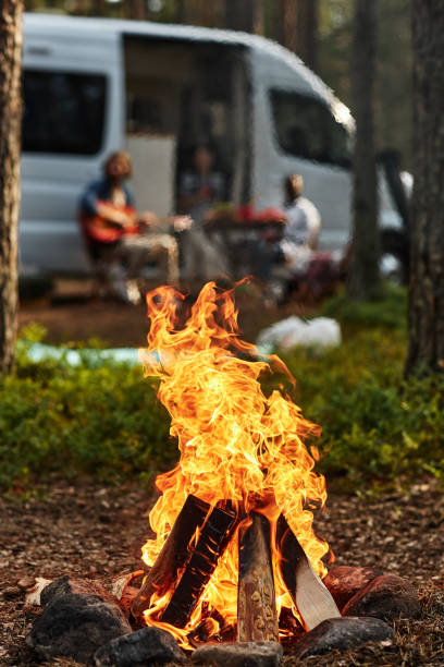 istock Bonfire during camp in the forest 1425281975