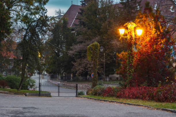 istock empty street in autumn 1425282108