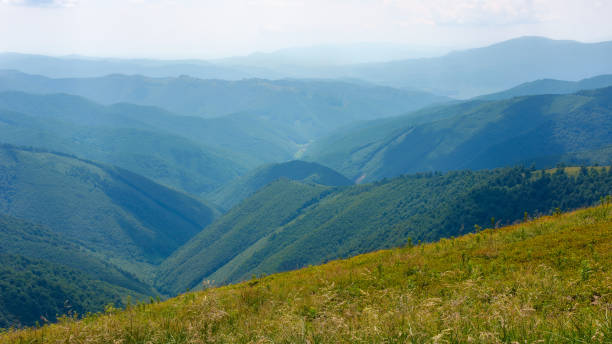 istock summer landscape in mountains 1425282539