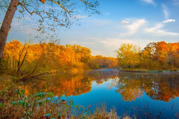 istock Beautiful fall leaf color reflected in Mill Creek-Owen County, Indiana 1425291773