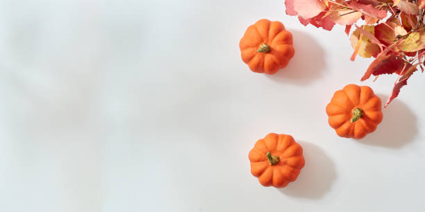 istock Flat lay frame with colorful autumn leaves and pumpkins on a white background 1425293586