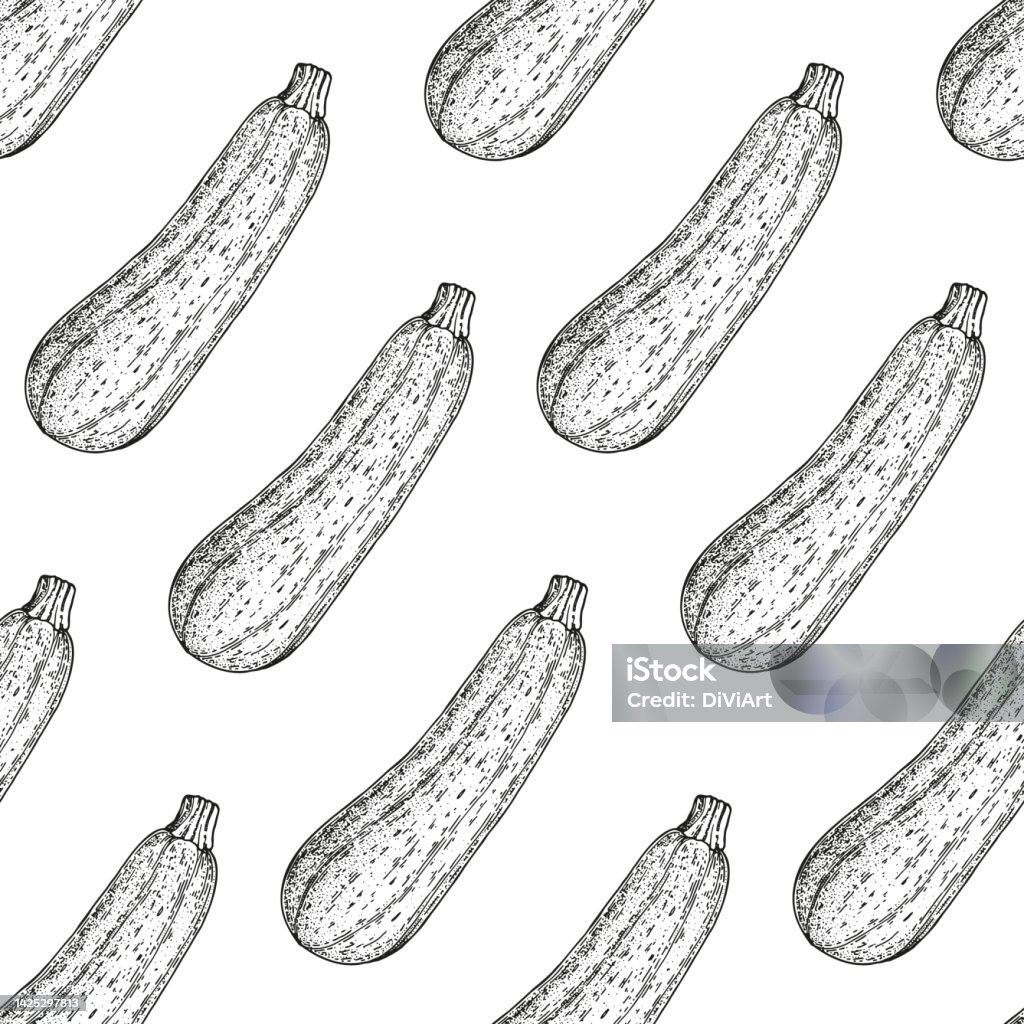 Zucchini Pattern Zucchini Seamless Pattern Hand Drawn Background Vector Illustration ...