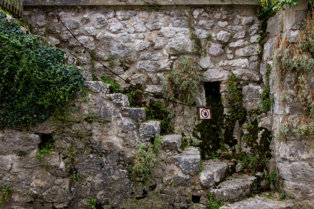 Ancient historic stone staircase in front of old ashlar masonry wall overgrown with green plants and partially damp and no trespassing notice sign