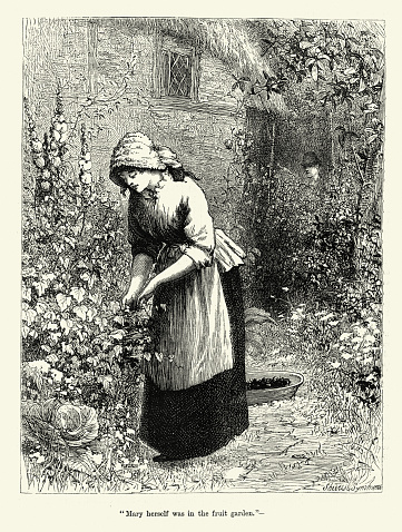 Vintage engraving Young woman gathering food from a Victorian kitchen garden, while a man watches her from the shadows, 19th Century, 1870s