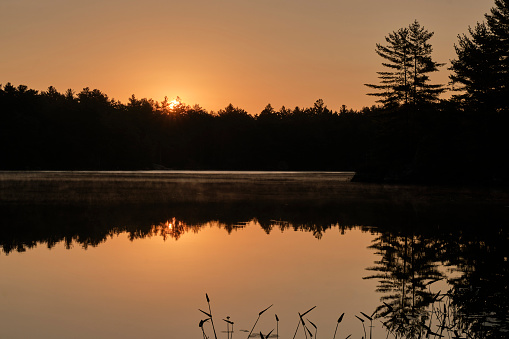 A beautiful sunrise as the sun peaks over the trees on Crab Lake in Kawartha Highlands Provincial Park.