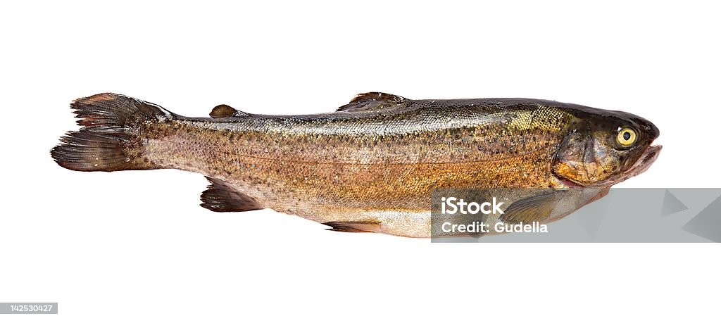 pescado - Foto de stock de Alimento libre de derechos