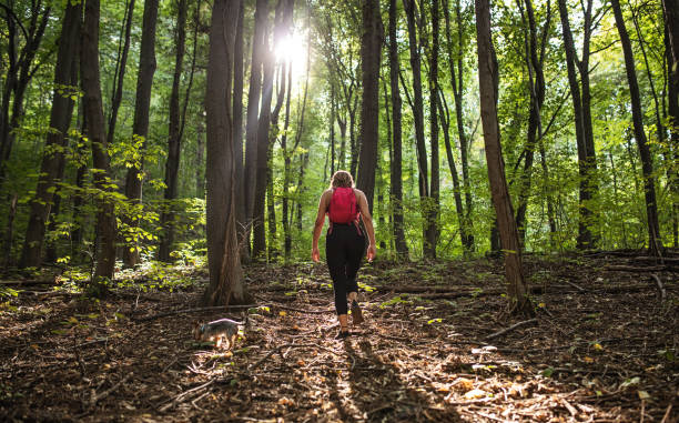 istock Woman Hiking 1425310395