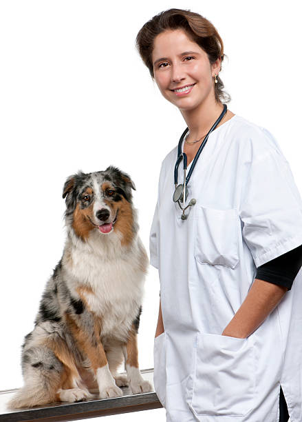 istock Vet standing next to an Australian Shepherd 142531106
