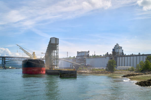 Loading Grain Cargo Ship Vancouver stock photo