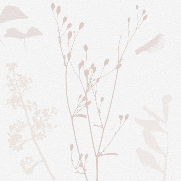 istock Delicate watercolor botanical digital paper floral background in soft basic nude beige tones. Neutral elegant pattern on white organic paper texture 1425312818
